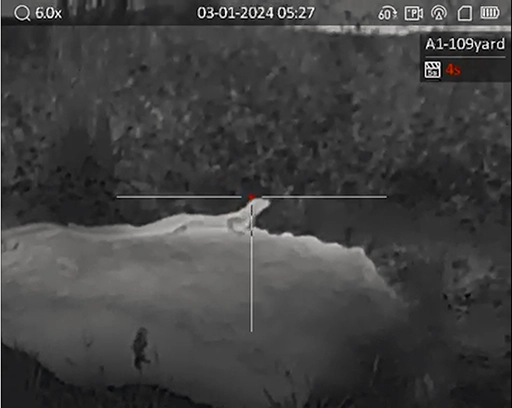 Hunting Iguanas with Thermal Optics
